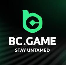 Ultimate Guide to Mastering BC.Game