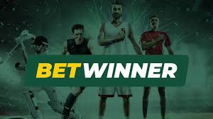 BetWinner Casino Your Ultimate Destination for Online Gaming 2113664345